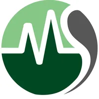 MSVistoria icon