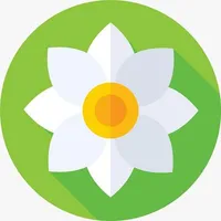 Helena icon