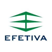 EFETIVA Segurança icon