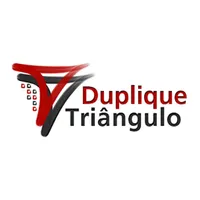 Duplique Triangulo icon