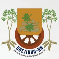 Fala Brejinho icon