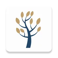 Balance icon
