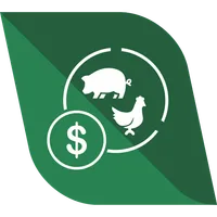Custo Fácil icon