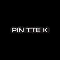 PIN TTE K icon