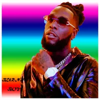 BURNA BOY ALL SONGS icon