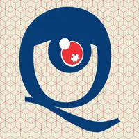 EyeQ Puzzle icon