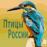 Птицы России icon