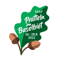 Helfer App ESAF 2022 icon