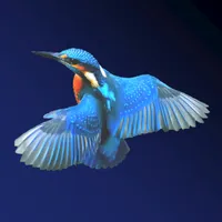 Photo Quiz icon