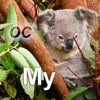 Nature My - Oceania icon