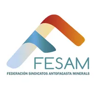 Fesam icon