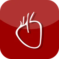 Sochicar Socios icon