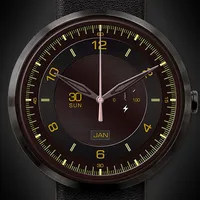 Classic Beast Face Watch icon