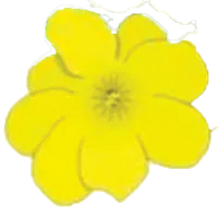 El Jazmin del Llano icon