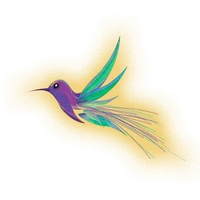 ɨnkal Awá Su - Mundo ɨnkal Awá icon
