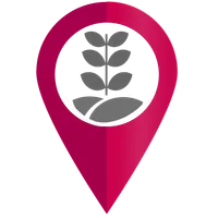 Editor ENA icon