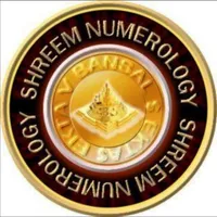 SHREEM NUMEROLOGY 369 icon