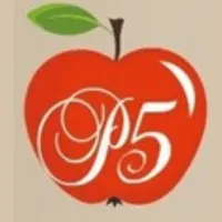 P5 icon