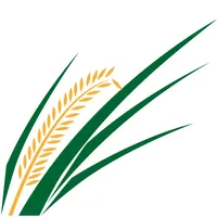 ColheArroz icon