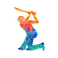 BDCricket icon