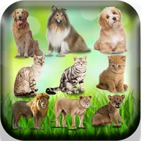 Femelle des animaux - Nom des  icon