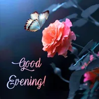 Good Evening Images & Quotes icon