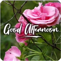 HAPPY SUNSET & GOOD AFTERNOON icon