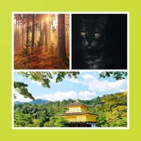 UJ HD Pics Wallpaper icon