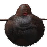 Flying Monke icon