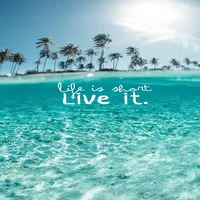 Beach wallpaper. icon