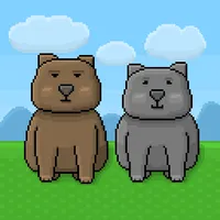 Biba and Boba - Wombats icon