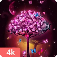 Beautiful Wallpapers HD icon