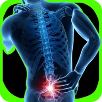 Lower Back Pain Exercises icon