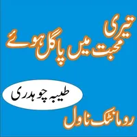 Teri Mohabbat Mein Pagal Hoye  icon