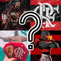 Matching Game Flamengo icon