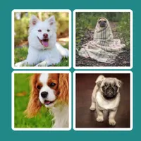 Picture Puzzle 2022 icon