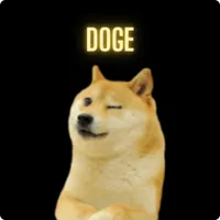 Doge  let's go to mars icon