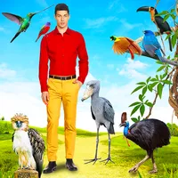 Beautiful Birds Photo Editor icon