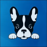 Inoata Chelutu icon