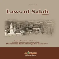 Laws Of Salah icon