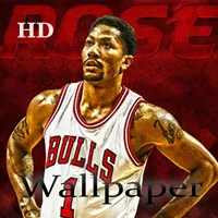 Derrick Rose HD Wallpaper icon
