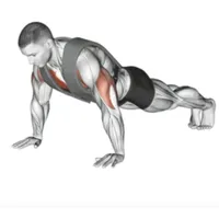Home Workout - Push Pull Legs icon
