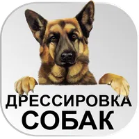 Дрессировка собак Тренировки icon