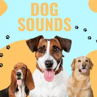 Dog Sounds - Dog Wallpapers icon