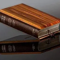 Expressom: Christian Social  N icon