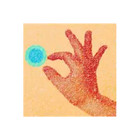 FL GesTure icon