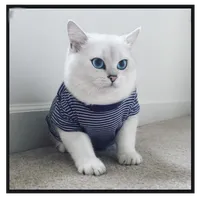 Beautiful Cats Wallpapers icon