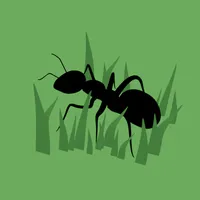 Damn, Ants! icon