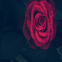 رواية جبل بدون نت icon
