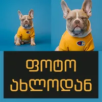 ფოტო ახლოდან icon